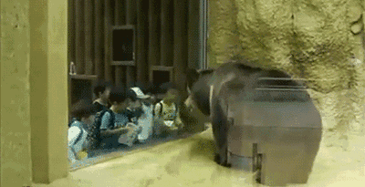 微信图片_20200310110958.gif