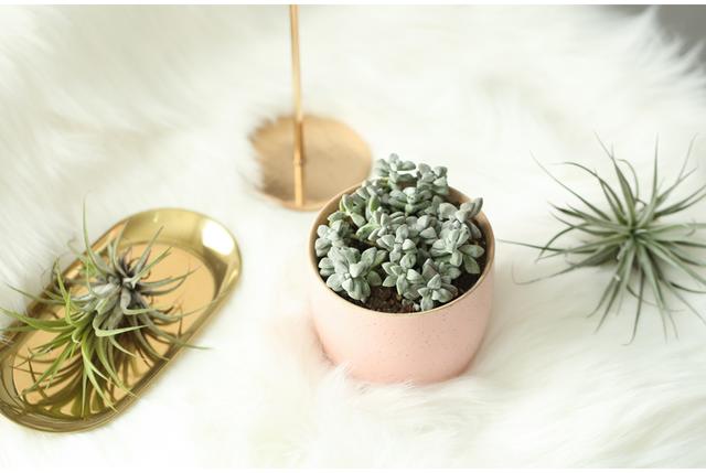 六月抖音最火套路情话，深情感人，表白专用