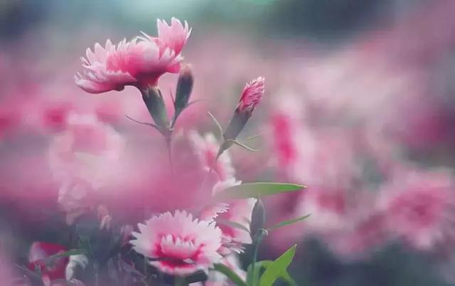 微信朋友圈早安情感心语 精美早安语句