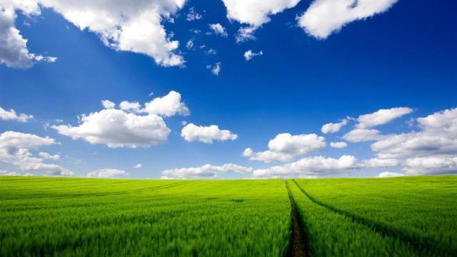 简短的早安心语励志语录，经典正能量，让你满血复活！