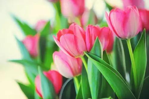 2018晚安心语优美的句子大全 最美晚安情感正能量简短句子