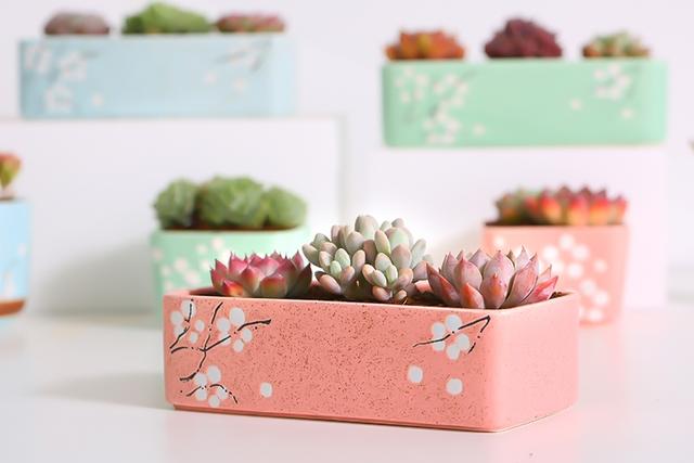 六月抖音最火套路情话，深情感人，表白专用