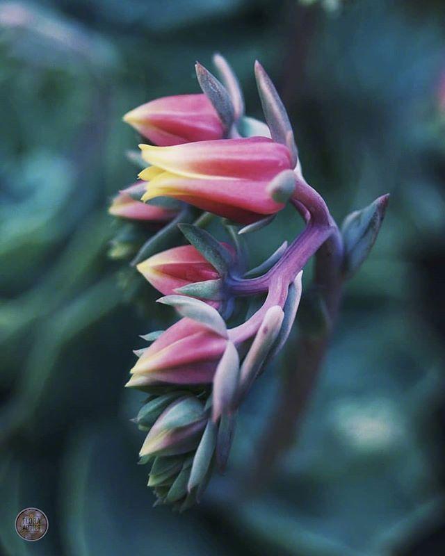 朋友圈睡觉晚安的说说，经典有深意，建议细细品读！