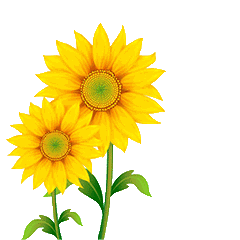 清晨早安问候语祝福话语 朋友圈最新早上好动态图