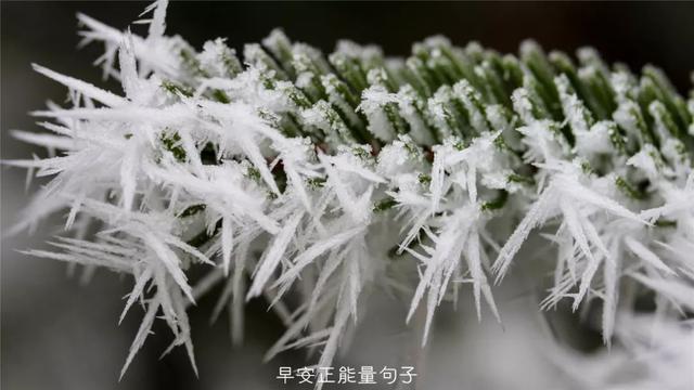 发朋友圈早安心语 早上吸引朋友圈的句子