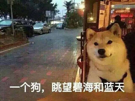 女生很喜欢聊天，但就是不喜欢和你聊2