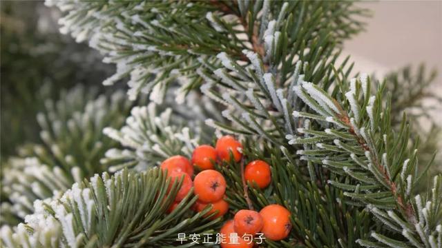 发朋友圈早安心语 早上吸引朋友圈的句子