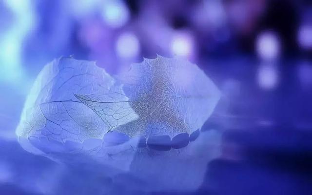 最美晚安说说短句 晚安心语语录唯美