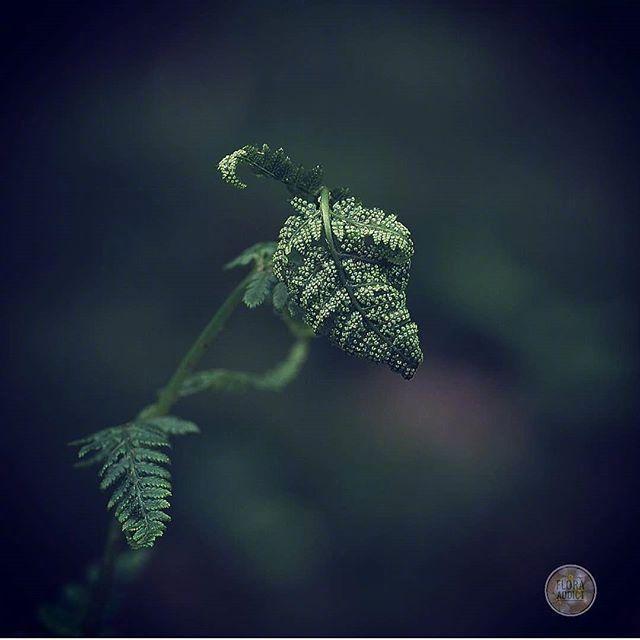 朋友圈睡觉晚安的说说，经典有深意，建议细细品读！