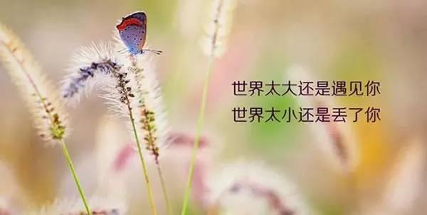 朋友圈早安心语正能量的问候语