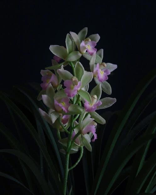 朋友圈晚安的心情说说，经典有深度，适合睡前思考！