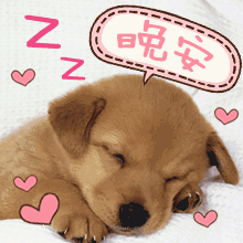 晚安祝福语大全 最美晚安心语