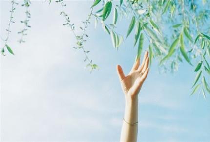 朋友圈说晚安的经典说说，简短精致，别睡太晚，梦会很短！