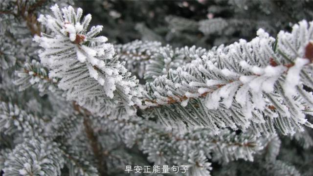 发朋友圈早安心语 早上吸引朋友圈的句子