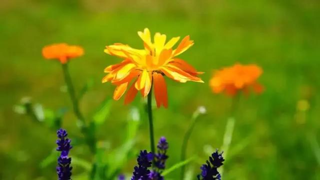 微信朋友圈早安情感心语 精美早安语句