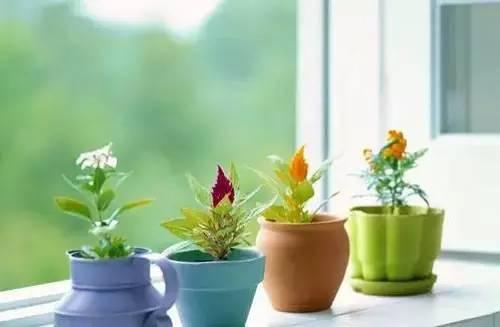 早安心语爱情 早安分享爱情语录