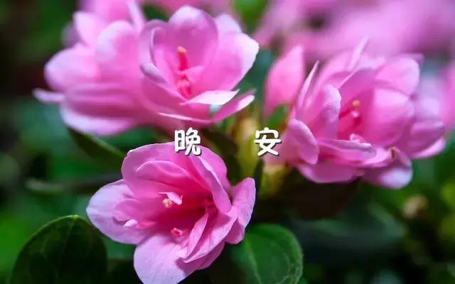 晚安心语语录 晚安经典优美的语句