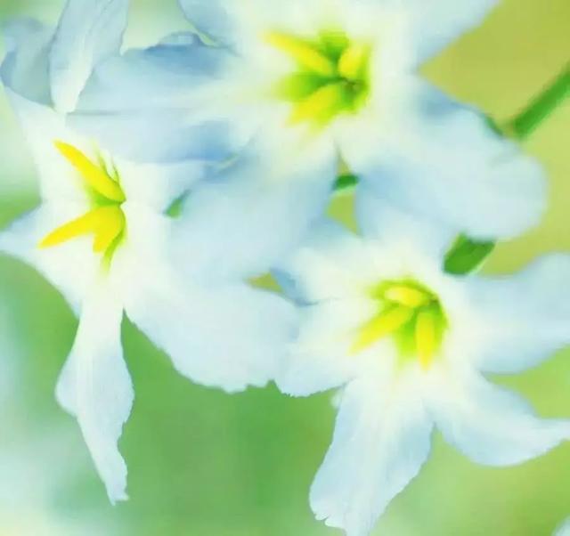 微信朋友圈早安情感心语 精美早安语句