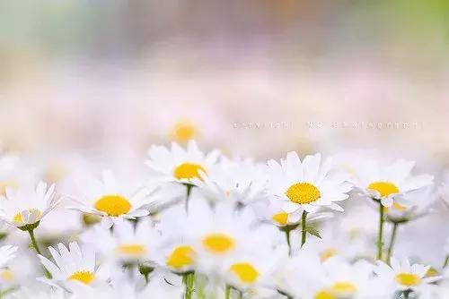 2018晚安心语优美的句子大全 最美晚安情感正能量简短句子