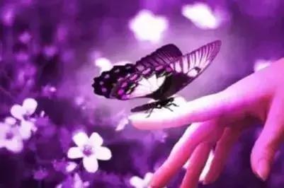 微信睡前说晚安正能量说说的句子