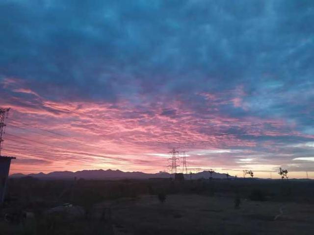 那些比较新的土味情话