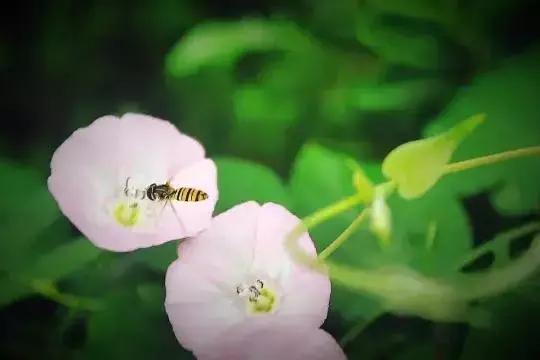 微信睡前说晚安正能量说说的句子