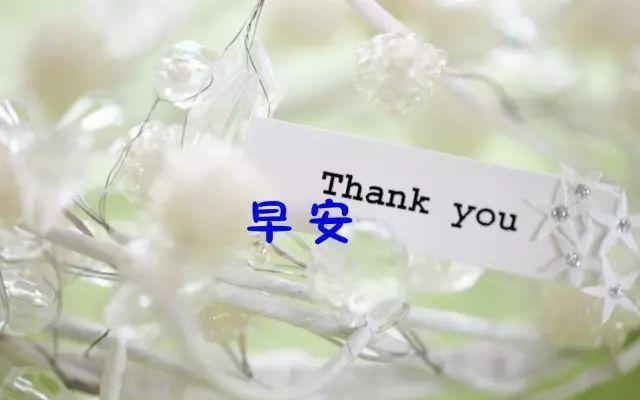 早安心语唯美语录，句句温暖，一起共勉吧