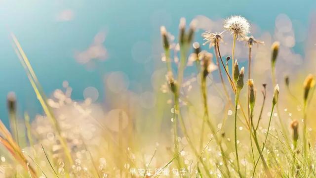 早上吸引朋友圈的句子