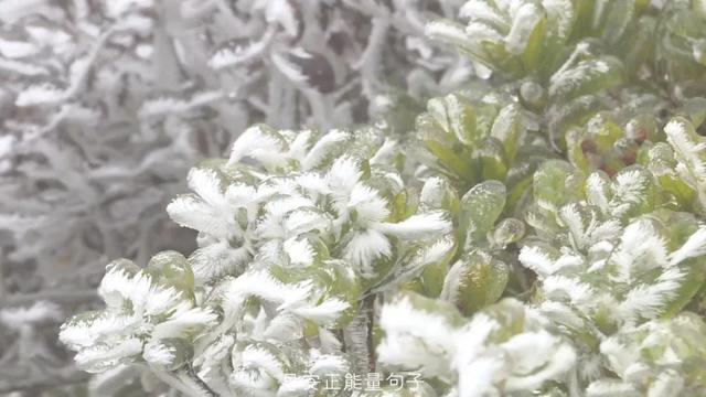 发朋友圈早安心语 早上吸引朋友圈的句子