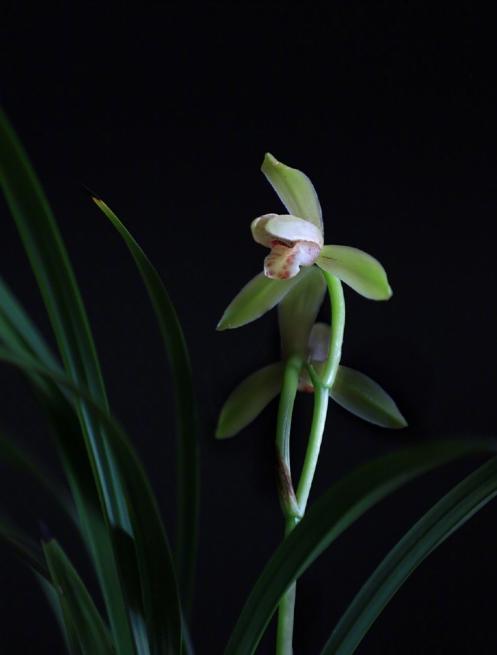 朋友圈晚安的心情说说，经典有深度，适合睡前思考！