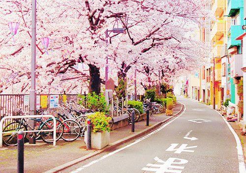 唯美好听的早安爱情心语句子