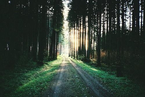 发朋友圈暗恋表白唯美句子