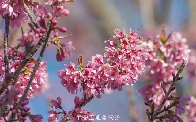 简短一句话早安心语 早上吸引朋友圈的句子