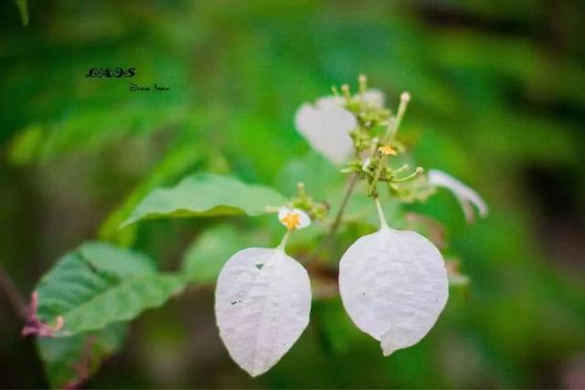 微信朋友圈早安情感心语 精美早安语句