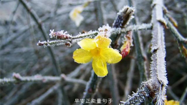 发朋友圈早安心语 早上吸引朋友圈的句子