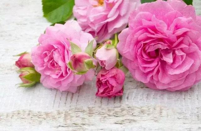 微信朋友圈早安情感心语 精美早安语句