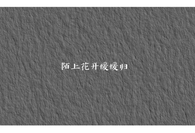 十个句子，感情不是你情我愿，最好爱恨扯平两不相欠