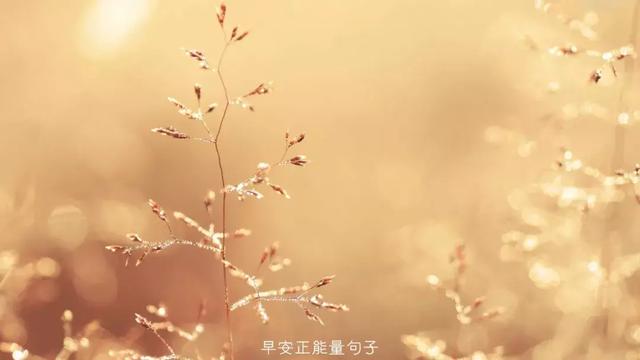 早上吸引朋友圈的句子