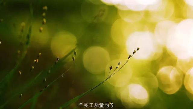 早上吸引朋友圈的句子