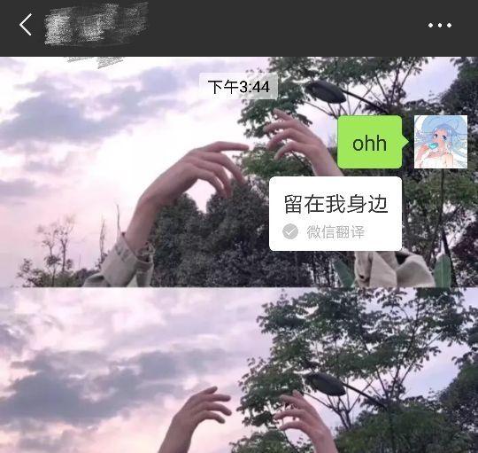 爱一个人就要大胆一点！教你几招微信表白代码，发送给喜欢人！