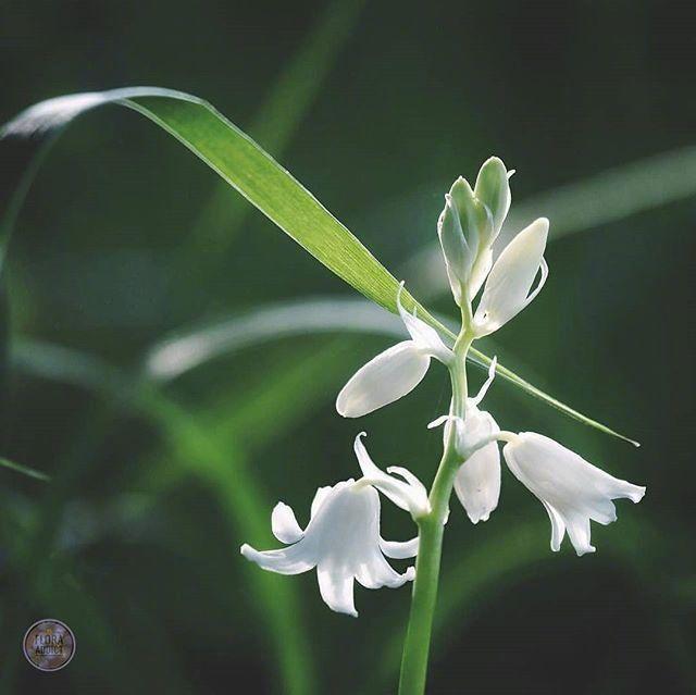 朋友圈睡觉晚安的说说，经典有深意，建议细细品读！