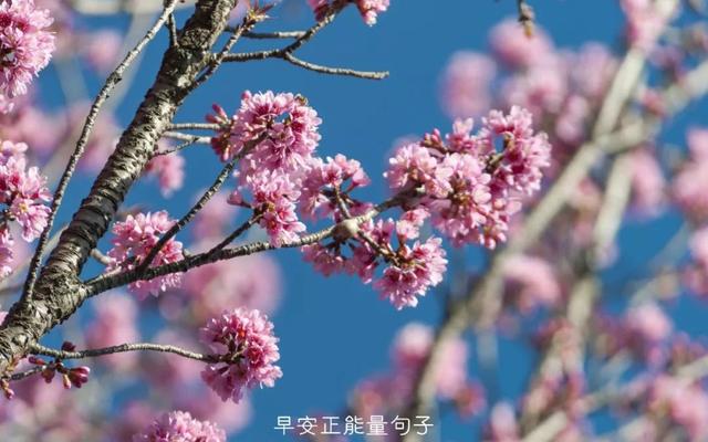 简短一句话早安心语 早上吸引朋友圈的句子