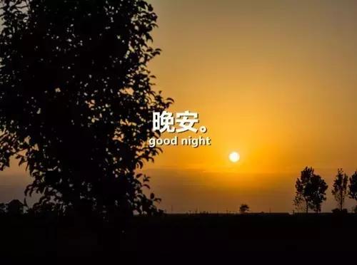 一句话晚安的句子 关于晚安的唯美句子
