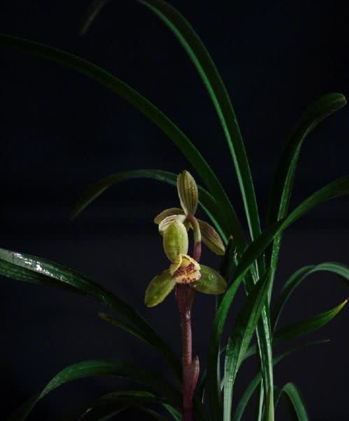 朋友圈晚安的心情说说，经典有深度，适合睡前思考！