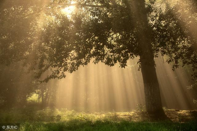 清晨早安心语说说 朋友圈早安问候语