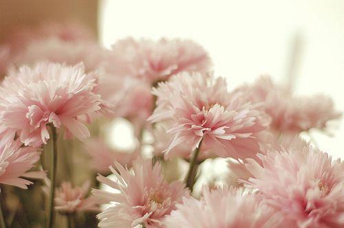 唯美好听的早安爱情心语句子