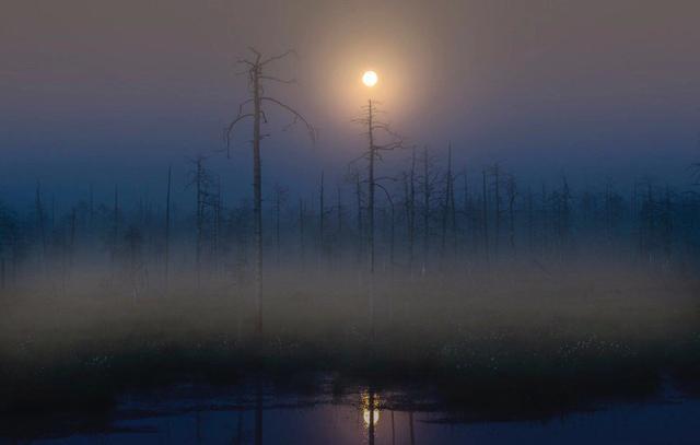 适合发朋友圈说晚安的句子