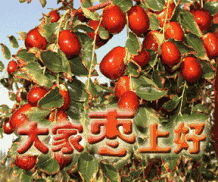 清晨早安问候语祝福话语 朋友圈最新早上好动态图