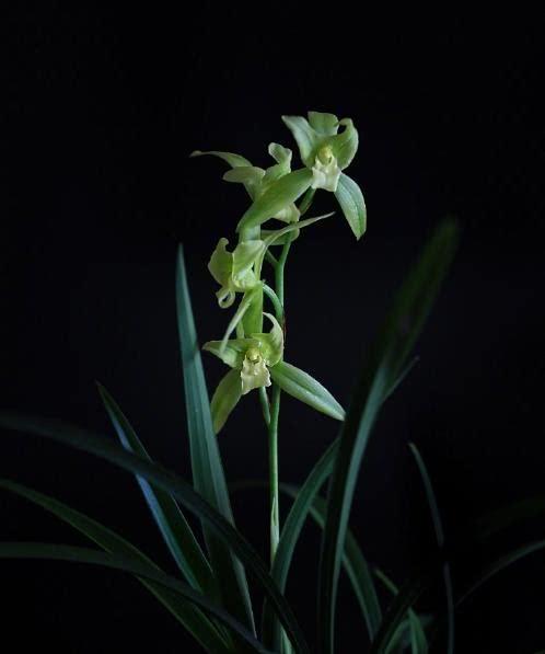 朋友圈晚安的心情说说，经典有深度，适合睡前思考！