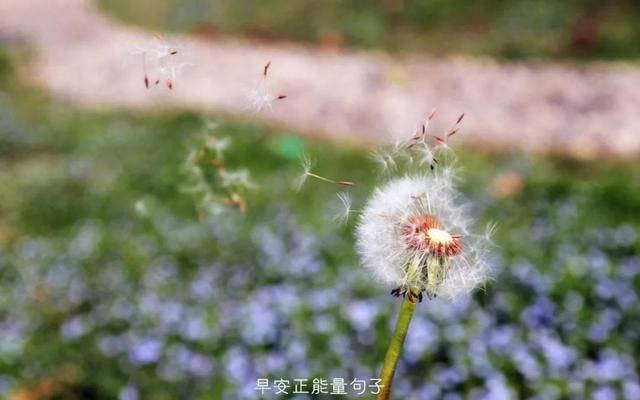 早上吸引朋友圈的句子 早安心语励志的语句